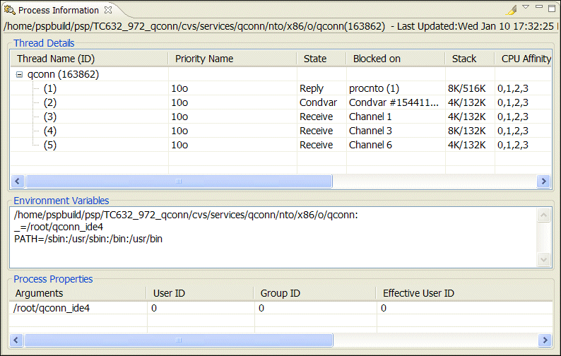 Process Information view