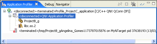 Profiler view